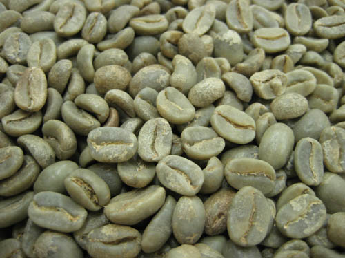 コーヒー生豆ペルー オーガニック 【おしゃれ】 有機栽培 1kg 日本正規品