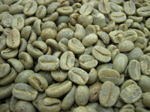 【送料無料】コーヒー生豆ペルー　オーガニック(有機栽培）　10kg※沖縄県は別途送料がかかります。【】