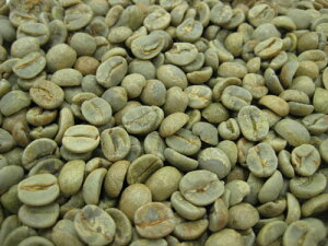 R[q[ uW TgX No.2 S18@10kg iO{ O{R[q[j ꌧ͕ʓr܂