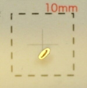 NamelCV[yAt@xbgECjVzS[hɏ( o )1V[g9