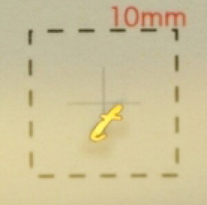 Name�l�C���V�[���y�A���t�@�x�b�g�E�C�j�V�����z�������S�[���h�ɏ�( t )1�V�[�g9����