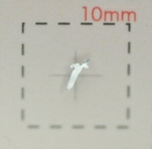 NamelCV[yAt@xbgECjVzVo[( r )1V[g9