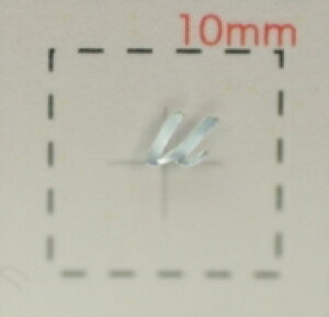 NamelCV[yAt@xbgECjVzVo[( u )1V[g9@O @lCV[@@lC@V[@nhCh@lCA[g@A[g@lCp[c@