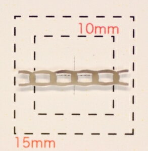 ^`F[ybN lCV[zVo[2iׁj/1V[g10
