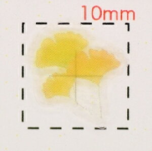 �g�t�E�H�y�l�C���f�U�C���V�[���z�����傤�i2�j/1�V�[�g9����