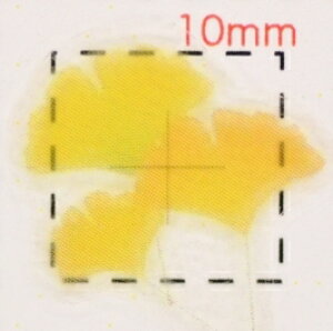 �g�t�E�H�y�l�C���f�U�C���V�[���z�����傤�i3�j/1�V�[�g4����