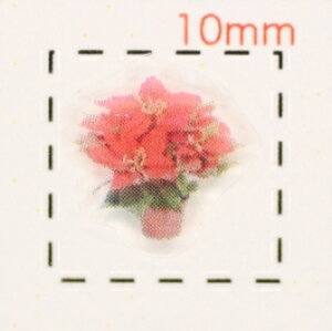 |CZ`AyNX}X lCfRV[z(6)/1V[g9@iChrisutomas@lC@V[@lCV[@nhCh@lCA[g@A[g@A[gV[@lCp[c@p[