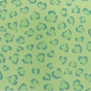 n[gqEyi^EIp[hjlCV[zO[1V[g1