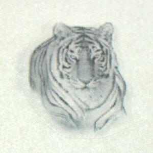 ylCA[gyCgV[zgE/1V[g4