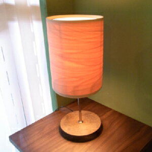 uiR BUNACOƖ LAMPye[uv BL-T565zmmis V CeA