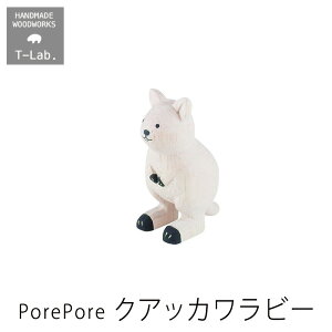 ؐG polepole ۂۂ  NAbJr[WDCV06QUOKA T-lab. eB[{mmis V CeA