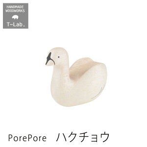 ؐG polepole ۂۂ  nN`EWDCV06HKCHO T-lab. eB[{mmis V CeA