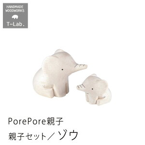 ؐG polepole ۂۂeqZbg ]E  T-lab. eB[{mmis V CeA
