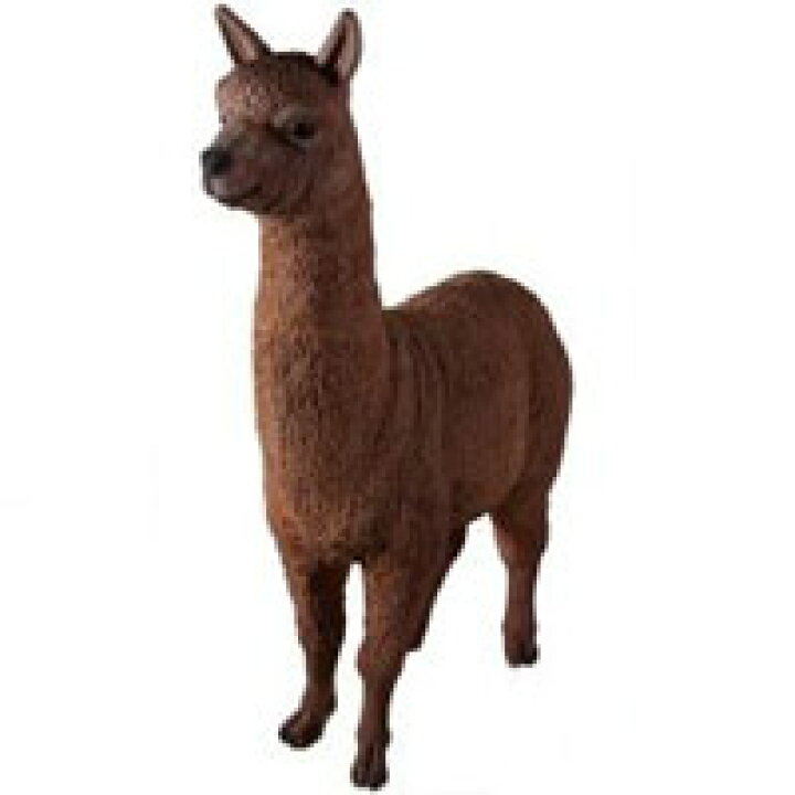 楽天市場 アルパカの微笑み オブジェ Alpaca 送料別途お見積り Frmmisオススメ Mmis エムエムインテリアスペース