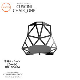 クッション CUSCINI Chair_one チェアワン専用クッション シート 革製 レザー SD484mmis 新生活 インテリア