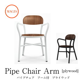チェア Pipe chair パイプチェア アーム有り/プライウッド SD1120mmis 新生活 インテリア