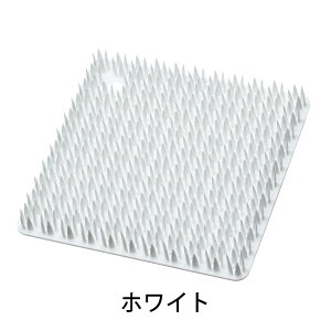 VRX|Wtidy eBfB Platawa for Kitchenv^EtH[Lb`mmis V CeA