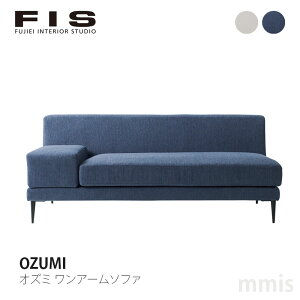 FIS OZUMI IY~ A[\t@FUJIEI tWGC[J[immis V CeA