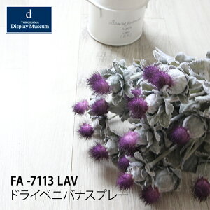 y݌Ɍz tFCNt[hCxjoiXv[ FA -7113 LAVmmis V CeA