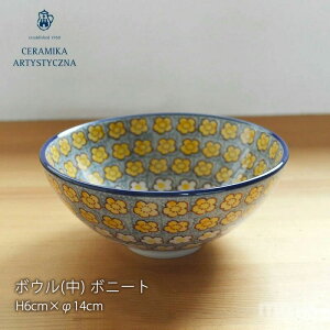 yK戵Xz|[bV|^[ Z~J cF~J ceramikaZ~J cF~J|[h H V {j[g {EijH6cm × 14cmE80 / 2525XkH  mmis