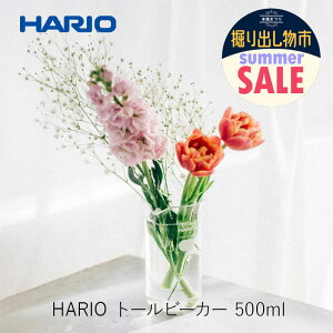 HARIO �n���I �g�[���r�[�J�[ 500ml TB-500 SCI�n���I�T�C�G���X