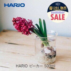 HARIO �n���I �r�[�J�[ 500ml B-500 SCI �n���I�T�C�G���X