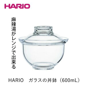 HARIO �ϔM�K���X �K���X�̘���600mL GXD-600 ��煓��������mmis �V���� �C���e���A