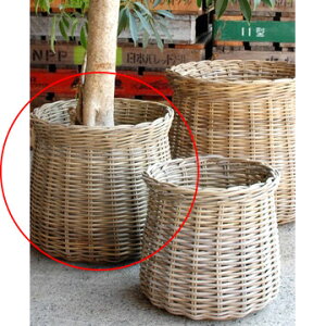 Jo[ |bgJo[yGray Rattan B1253 R12pzmmis V CeA