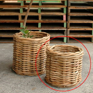 Jo[ |bgJo[yRattan B1280 R10pzmmis V CeA