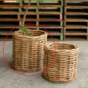 Jo[ |bgJo[yRattan B1281 R12pzmmis V CeA