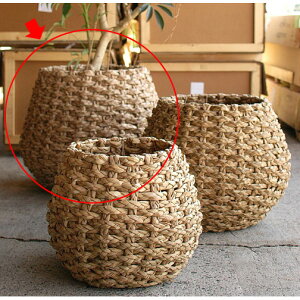 Jo[ |bgJo[yLush Basket B8212 R12pzmmis V CeA