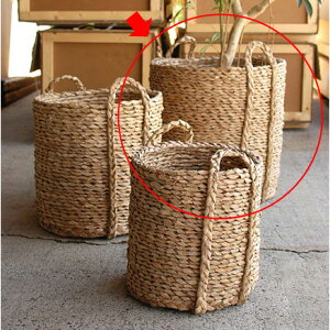 Jo[ |bgJo[yLush Basket B9262 R12pzmmis V CeA