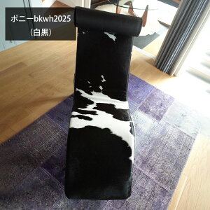 ERrWF ݌ LC4 |j[v VF[YOє RrWF Le Corbusiermmis V CeA