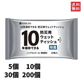 10年保存できる防災用ウェットティッシュ ノンアルコール 無香料 20枚入り 4573284123339