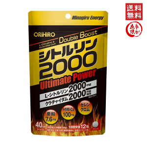 ORIHIRO Vg2000 Ultimate Power 144gi480^1300mgj