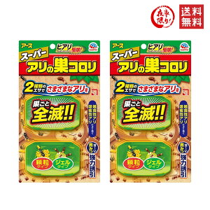 A[X X[p[ȂR 2 2Zbg