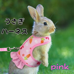  n[lX [h pi ETM n[lX   e n[lX