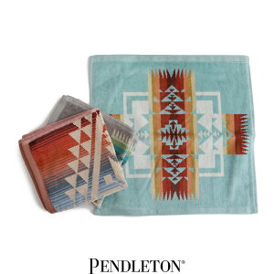 pendleton �y���h���g���@�n���h�^�I���@XB220�yRCP�z�L�����s���O�yGEAR/HOME�z ���C���O�b�Y