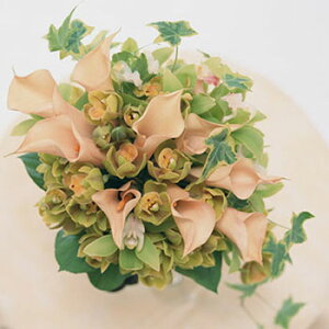 y15%OFFZ[zRREtOX^10ml Lh A}  RX ϕi ϕi Ό ΂  ޗ f