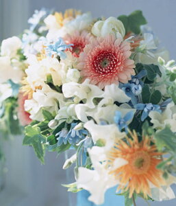 y15%OFFZ[zNo.5EtOX^30ml Lh A}  RX ϕi ϕi Ό ΂  ޗ f