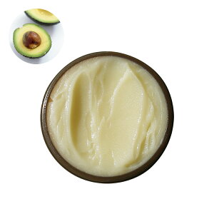 A{Jho^[^30g  q ێ   N[  RX ϕi ϕi  ޗ f XLPA