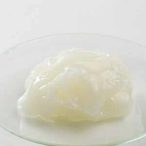 mEz^50g ێ   N[ YY  RX ϕi ϕi  ޗ f XLPA ێ