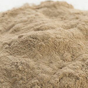 yP10{zX[NCEqiKX[NCj^50g GCWOPA  NCpbN NCoX  RX ϕi ϕi Ό ΂  ޗ f XLPA 