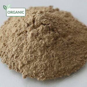 y15%OFFZ[zApE_[EI[KjbN^500g hCn[u  pE_[ GLXo XLPA wAPA  RX ϕi Ό ΂  ޗ