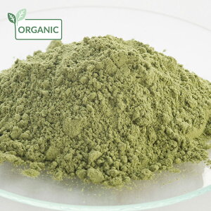 y15%OFFZ[zCfBSpE_[EI[KjbN^20g hC n[u GLX o  wAJ[ g[gg XLPA wAPA  RX ϕi Ό ΂  ޗ