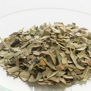 y15%OFFZ[zEEV^20g hCn[u GLXo XLPA wAPA  RX ϕi Ό ΂  ޗ n[u