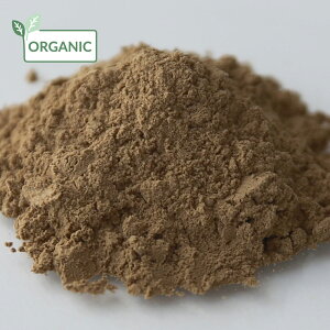 yP10{zVJJCpE_[EI[KjbN^100g hCn[u GLX o  pE_[ XLPA wAPA  RX ϕi Ό ΂  ޗ n[u