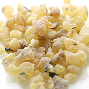 y15%OFFZ[ztLZX^20g hCn[u GLXo XLPA wAPA  RX ϕi Ό ΂  ޗ n[u 