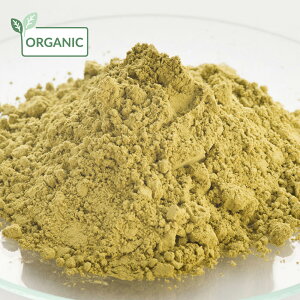 y15%OFFZ[zwii`pE_[EI[KjbN^20g hC n[u GLX o  wAJ[ g[gg XLPA wAPA  RX ϕi Ό ΂  