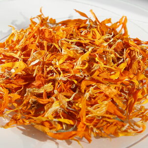 y15%OFFZ[zJfy^i}[S[hj^20g hCn[u AM[ GLXo XLPA wAPA  RX ϕi Ό ΂  ޗ r